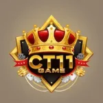 CT11 Game