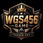 WGS456 Game Logo